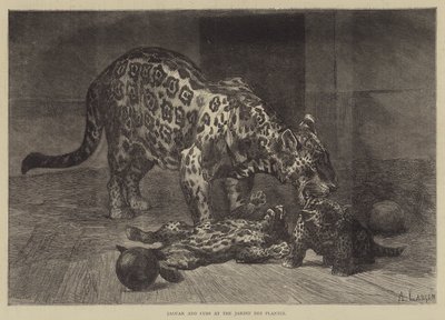 Jaguar en Welpen in de Jardin des Plantes door Auguste Andre Lancon